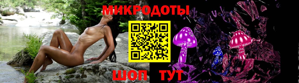 Галлюциногенные грибы Psilocybe Зеленогорск